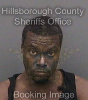 Wilson Nathan - Hillsborough County, Florida 