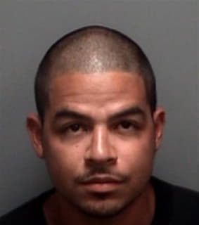 Marti Carlos - Pinellas County, Florida 