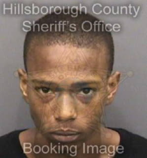 Robinson David - Hillsborough County, Florida 