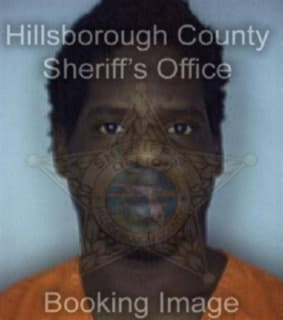 Bostick Jermaine - Hillsborough County, Florida 