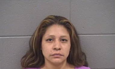 Castro Reyna - Cook County, Illinois 