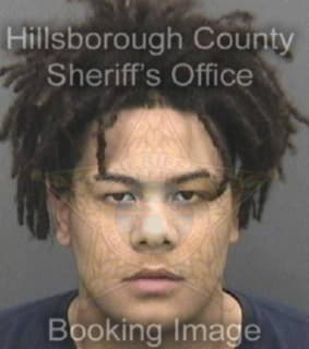Benjamin Tavares - Hillsborough County, Florida 