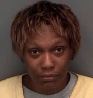 Abrams Tina - Pinellas County, Florida 