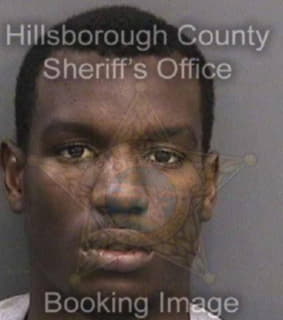 Johnson Christopher - Hillsborough County, Florida 
