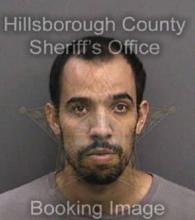 Santiago David - Hillsborough County, Florida 
