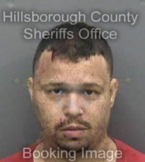 Otero Jorge - Hillsborough County, Florida 