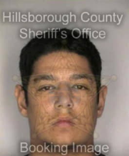 Richardson Leroy - Hillsborough County, Florida 