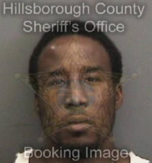 Lewis Michael - Hillsborough County, Florida 