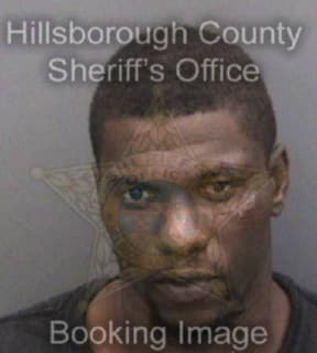 Williams Deandre - Hillsborough County, Florida 