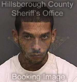 Diazdiaz Jose - Hillsborough County, Florida 