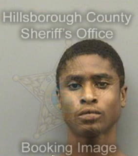 Mitchell Anthony - Hillsborough County, Florida 