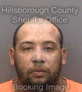 Ortiz Gerardo - Hillsborough County, Florida 