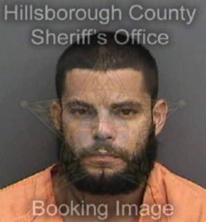 Riano Julio - Hillsborough County, Florida 