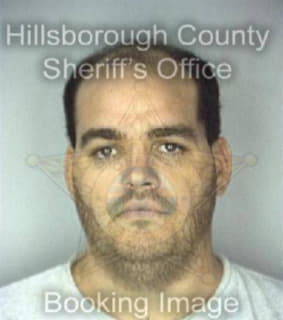 Anderson Kevin - Hillsborough County, Florida 