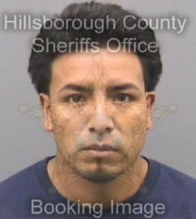 Cintoperez Leonel - Hillsborough County, Florida 