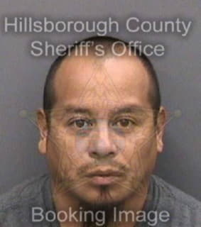 Lopez Osvaldo - Hillsborough County, Florida 