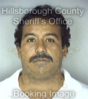 Contreras Alberto - Hillsborough County, Florida 