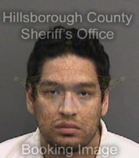 Aldana Cesar - Hillsborough County, Florida 