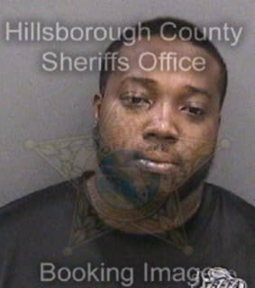 Watkins Michael - Hillsborough County, Florida 