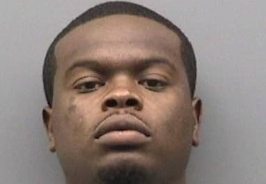 Robinson Roger - Hillsborough County, Florida 