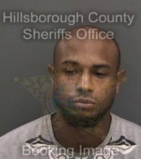 Johnson Christopher - Hillsborough County, Florida 