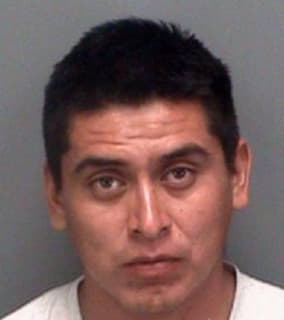 Beltran Misael - Pinellas County, Florida 