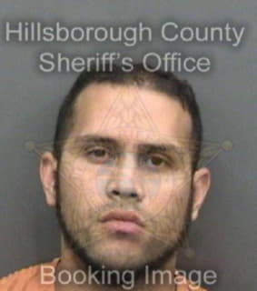 Rivera Amilcar - Hillsborough County, Florida 