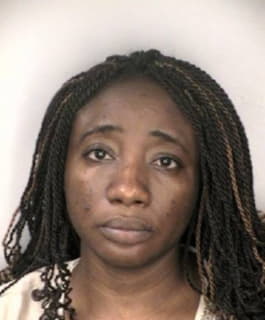 Akande Olubunmi - Hillsborough County, Florida 