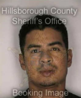 Chirinos Jaime - Hillsborough County, Florida 