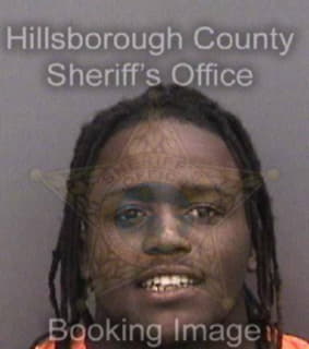 Wilson Jeron - Hillsborough County, Florida 