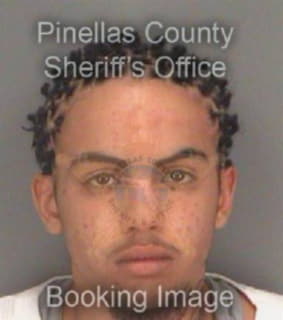 Boyle Marcus - Pinellas County, Florida 