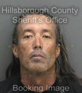 Royal Michael - Hillsborough County, Florida 