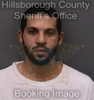 Anderson Antonio - Hillsborough County, Florida 