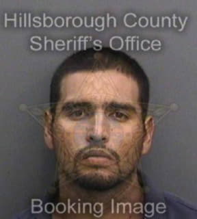 Vidal Raul - Hillsborough County, Florida 