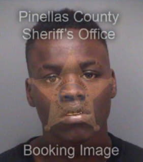 Wiggins Devontae - Pinellas County, Florida 