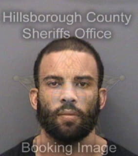 Wilson Mishael - Hillsborough County, Florida 