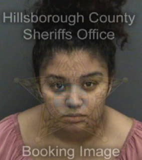 Velasquez Ashley - Hillsborough County, Florida 