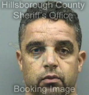 Almanzarsantana Claudio - Hillsborough County, Florida 