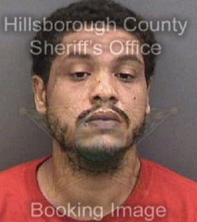 Correa Hershel - Hillsborough County, Florida 