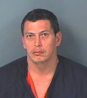 Ruiz Jorge - Hernando County, Florida 