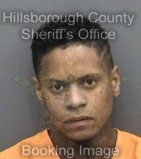 Benitez Arnaldo - Hillsborough County, Florida 