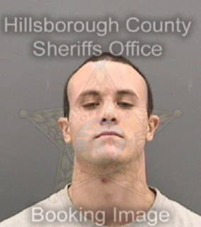 Sylvestry David - Hillsborough County, Florida 