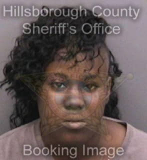 Chatman Deandra - Hillsborough County, Florida 