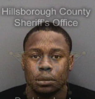 Palmer Demetrius - Hillsborough County, Florida 