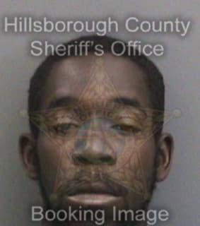 Romer Kevin - Hillsborough County, Florida 