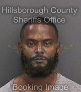 Alers Armando - Hillsborough County, Florida 