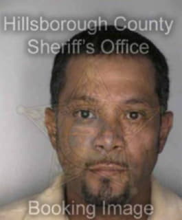 Pizarro Carlos - Hillsborough County, Florida 