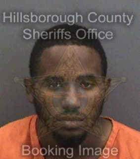 Rodriguez Christopher - Hillsborough County, Florida 