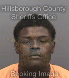 Rogers Darious - Hillsborough County, Florida 