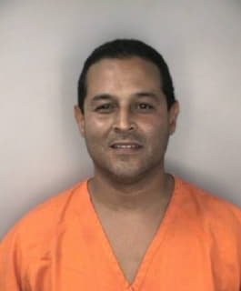 Millan Elvin - Hillsborough County, Florida 